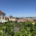 Discover Prague in a relaxed way – the most beautiful sides of the city without tourist crowds
