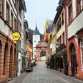 Highlights and history of the city of Heidelberg - Free Walking Tour