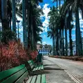 Recorrido Histórico por el centro de la Ciudad