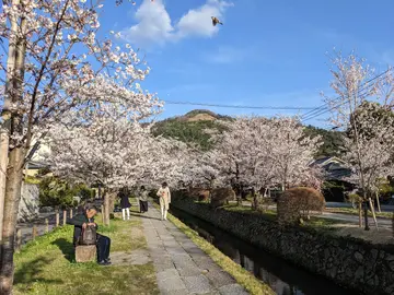A Neighborhood Walk by the Philosopher's Path