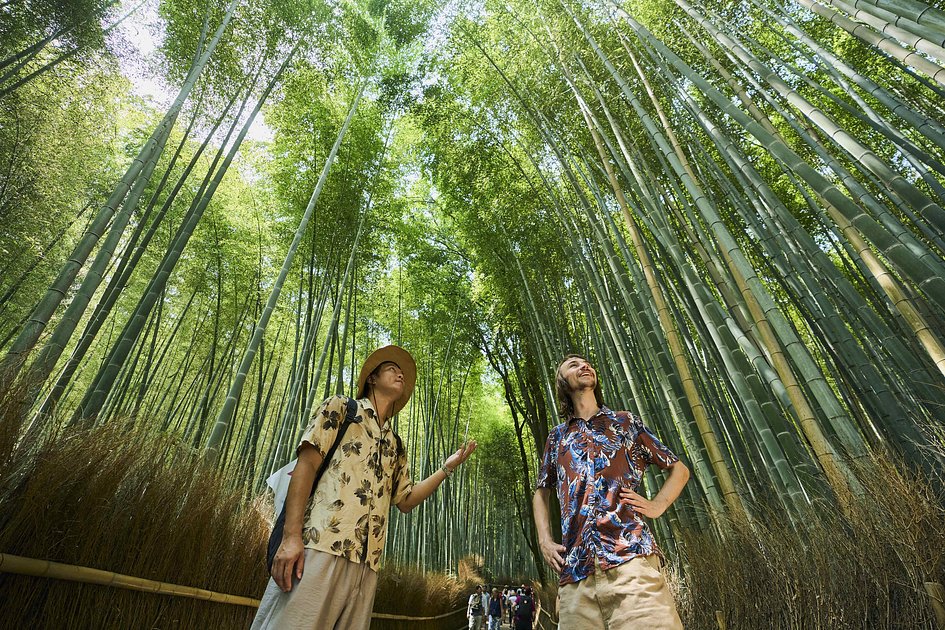 Kyoto: UNESCO World Heritage Arashiyama Walking Tour with