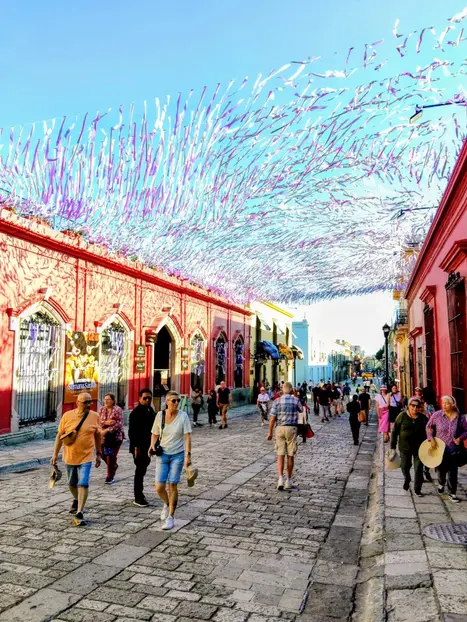 Oaxaca Sin Filtro: Un Paseo Local a Través del Arte, el Poder y la Resistencia