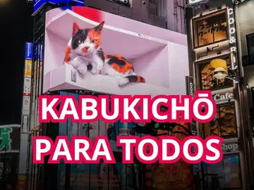 👺Kabukichō🎌für alle: Geschichte, Kultur und Neon, mehr als nur Ruhm.