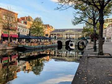 ¡Descubriendo las Claves de Leiden: De Peregrinos a Pintores!