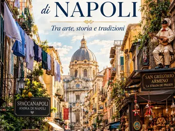 See Naples and then return - Historic Center