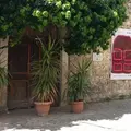 Walking Tour - City Architecture and Urbanism, Durrës