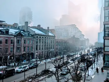 Die verlorene Rebellion - Eine geführte Tour durch Torontos Altstadt
